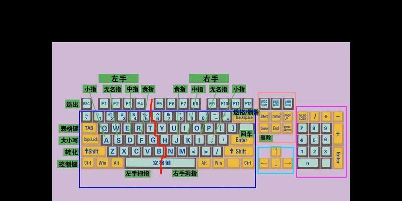 初学五笔打字入门指南（快速掌握五笔打字方法，提高打字效率）