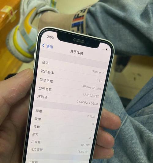 降低iPhone手机温度的有效方法（保持iPhone手机正常运行的关键）