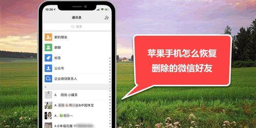 如何找回被删除的苹果手机视频（有效恢复已删除的iPhone视频文件的方法与技巧）