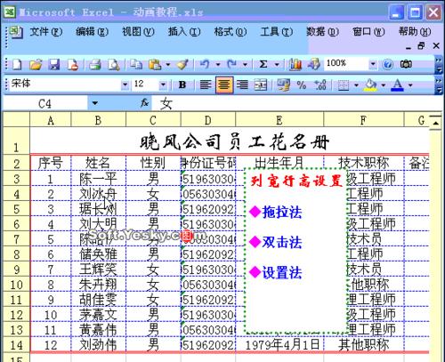 如何一步步制作Excel表格？详细步骤是什么？